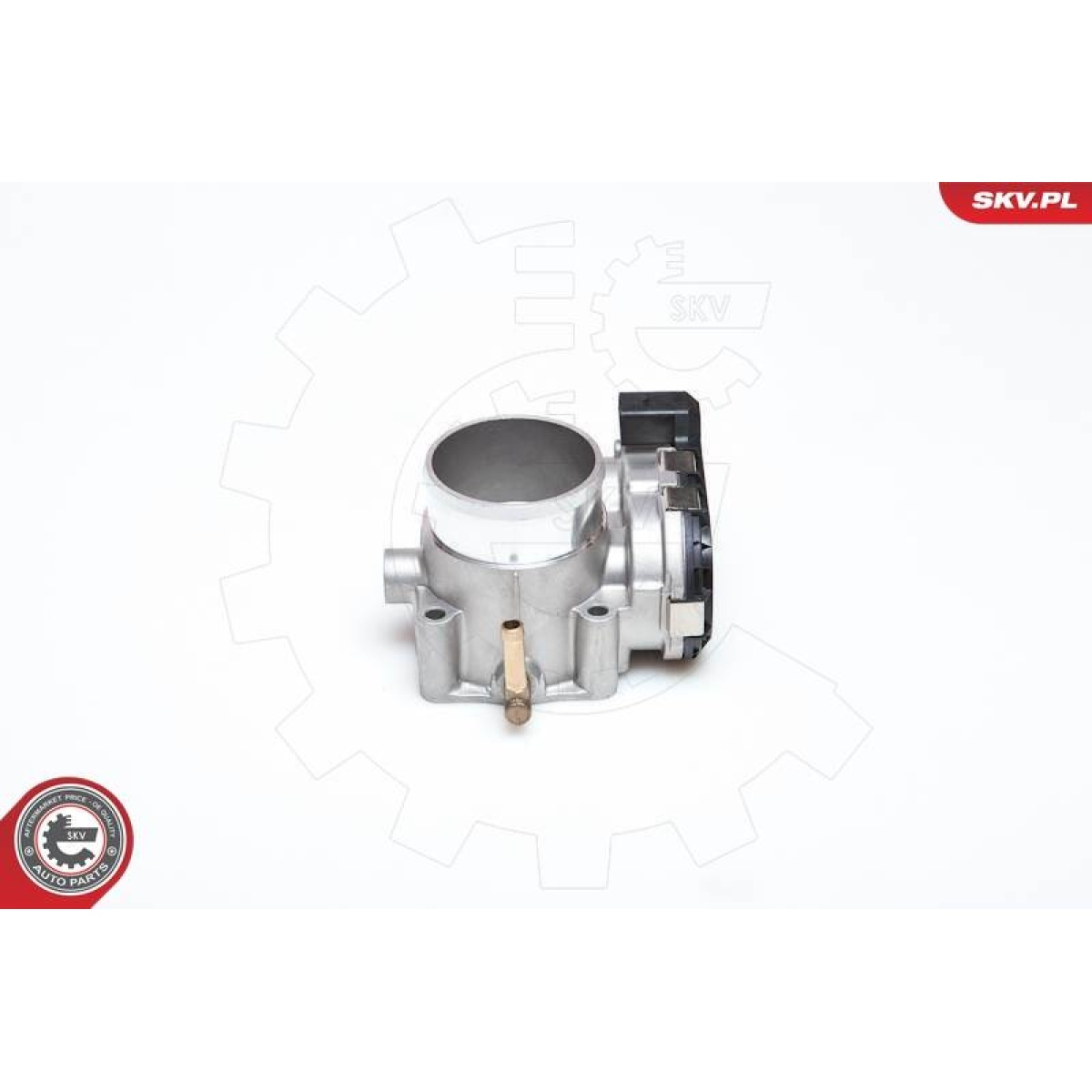 BOĞAZ KELEBEĞİ A3/TT