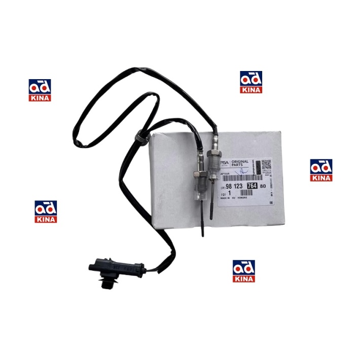 EKSOZ SICAKLIK SENSÖRÜ P3008 P301 P308 P5008 P508 EXPERT-IV PARTNER RIFTER