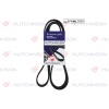 2020 K 5 KANALLI KAYIŞI OPEL OMEGA 2.5DTI 24V 01-03 -L.L 3.0TD6 24V 02-09 - BMW X5 3.0 00-03 HUTCHINSON 5PK2020 HUTCHINSON 5PK2020