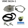 DEVİRDAİMLİ EKSANTRİK GERGİ KİTİ CLIO II-KNG-SYMBOL 1.5DCI 01 MEGANEII 02-08 NISSAN ALMERA 1.5DCI 03 SKF VKMC06134-1 SKF VKMC06134-1