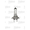 AMPUL 12V H7 55W KARTON KUTU - STANDART SERİ VALEO 032009