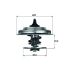 TERMOSTAT 87 C MERCEDES M102 M103 OM615 OM904 W201 W202 W124 W210 W140 . AXOR 1838 MAHLE TX18.87D