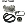 DEVİRDAİMLİ EKSANTRİK GERGİ KİTİ MGN-R19 1.6 ENJ. CLIO SYMOL 1.4 K7M-LOGAN-SANDERO 1.4I-1.6I SKF VKMC06003