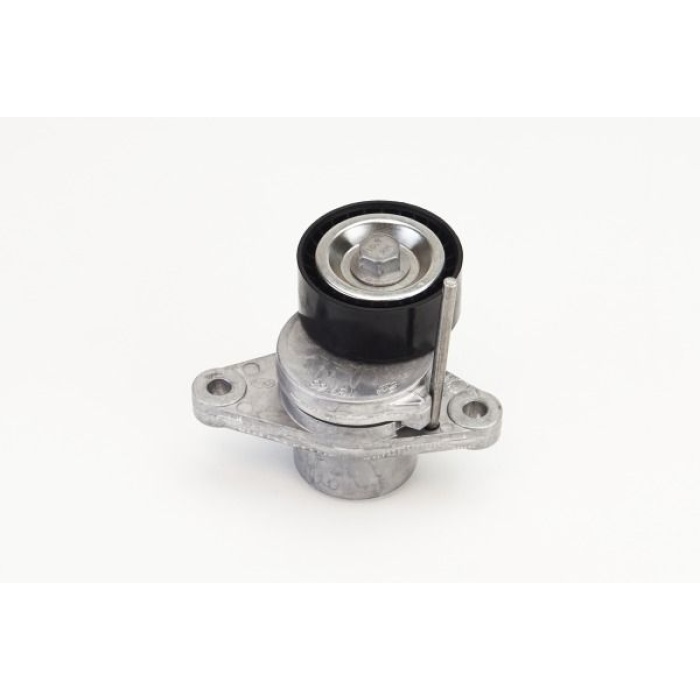ALTERNATÖR GERGİ RULMANI KÜTÜKLÜ RENAULT LAGUNA III 07 15 DACIA DOKKER 12 DUSTER 10 ELTAORIGIN M10302781E