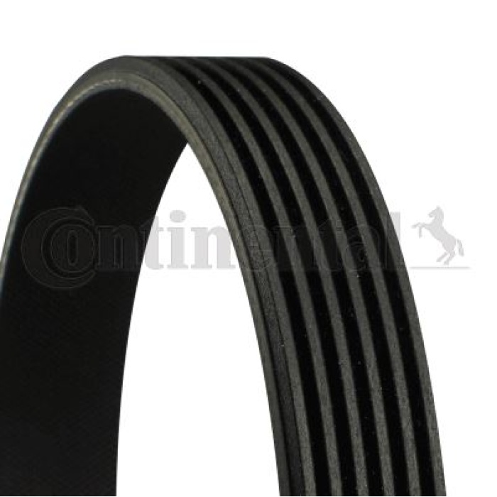 KANALLI KAYIŞ ALFA 159 2.4 JTDM 05-11 -BMW 3 F30 320i-328i-BMW 5 F10 520i-528i CONTI 6PK1005