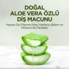 Doğal Diş Macunu 90 Gr Aloe Vera