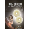 BFS  GOLD Mini Saç Topuz Süngeri  2 ADET 6 CM Çap 2.5 cm Kalınlık
