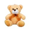 BFS   Sunman Kurdeleli Peluş Ayı 21 cm