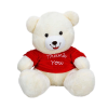 BFS  T-Shirtlü Oturan Peluş Ayı 60 cm