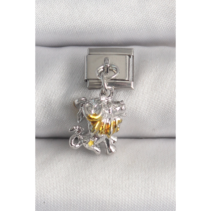 BFS 316L Çelik Gümüş Renk Sallantı Aslan Model Nomination Charm