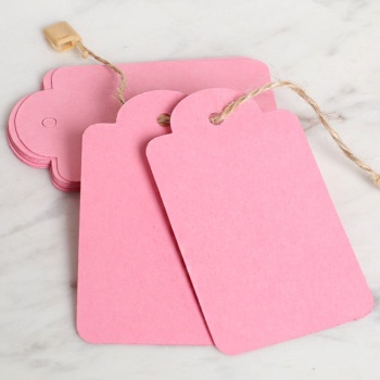 Loren 10lu Pembe Etiket ve Klipsli Etiket İpi