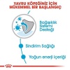 Royal Canin Mini Puppy Pouch Yavru Köpek Konservesi 85 Gr