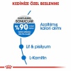 Royal Canin Light Weight Düşük Kalorili Light Kedi Maması 1,5 Kg