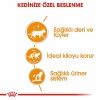 Royal Canin Intense Beauty Gravy Pouch Yetişkin Kedi Konservesi 85 Gr