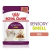 Royal Canin Sensory Smell Gravy Adult Yetişkin Kedi Konservesi 85 Gr