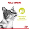 Royal Canin Sensory Smell Gravy Adult Yetişkin Kedi Konservesi 85 Gr