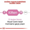 Royal Canin Kitten Yavru Kedi Maması 10 Kg