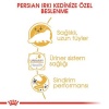 Royal Canin Persian Adult Pouch Yetişkin Kedi Konservesi 85 Gr