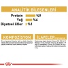 Royal Canin Persian Adult Pouch Yetişkin Kedi Konservesi 85 Gr
