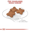 Royal Canin Mini Adult Küçük Irk Yetişkin Köpek Maması 4 Kg