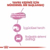 Royal Canin Mother Babycat Pate Yavru Kedi Konservesi 6 Adet 195 Gr