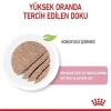 Royal Canin Mother Babycat Pate Yavru Kedi Konservesi 12 Adet 195 Gr