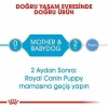 Royal Canin Starter Mother Babydog Yavru Köpek Konservesi 12 Adet 195 Gr