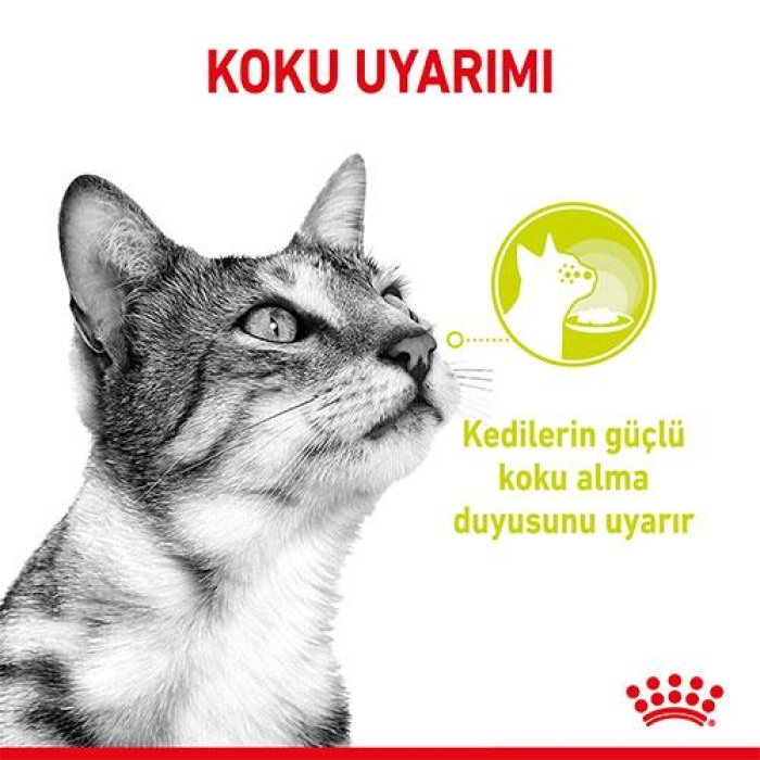 Royal Canin Sensory Smell Gravy Adult Yetişkin Kedi Konservesi 85 Gr