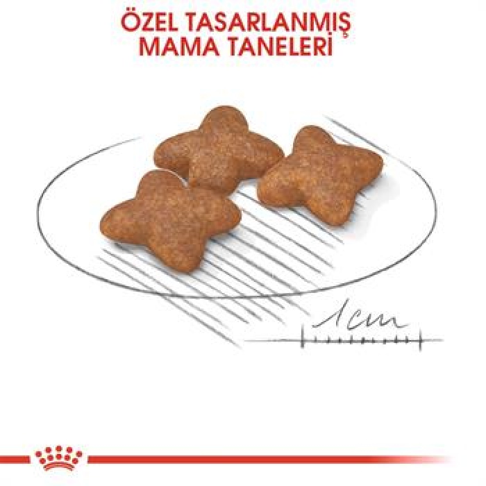 Royal Canin Mini Adult Küçük Irk Yetişkin Köpek Maması 4 Kg