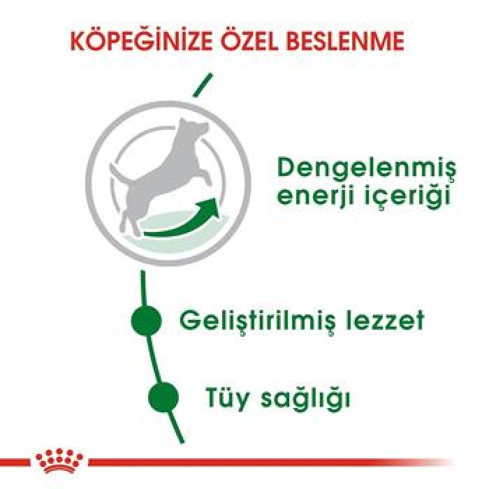 Royal Canin Mini Adult Küçük Irk Yetişkin Köpek Maması 4 Kg