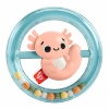 Fisher Price Sensimals Dişlik Seti Hrb22