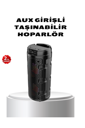 Bluetooth 5.0 Kablosuz Hoparlör Çift Sürücülü Yüksek Ses Kalitesi Kompakt Tasarım