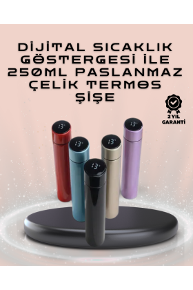 250ml LED Ekranlı Paslanmaz Çelik Akıllı Termos