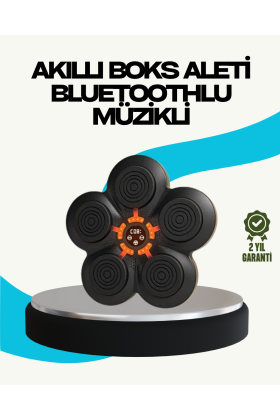 Ev Tipi Akıllı Boks Duvar Paneli Müzikli Bluetoothlu Refleks Geliştirme Cihazı