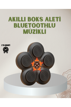 Bluetoothlu Akıllı Boks Antrenman Cihazı Işıklı Hedefli Kardiyo ve Fitness Aleti