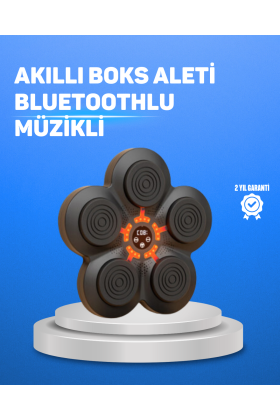 Müzikli Boks Duvar Paneli Akıllı Işık Sistemli Refleks ve Kondisyon Aleti