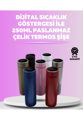 LED Sıcaklık Ölçerli 250 ml Yalıtımlı Termos Şişe