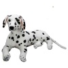 Peluş Yatan Dalmaçyalı Köpek