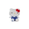 6116 PELUŞ H KITTY S4 30CM HKTY