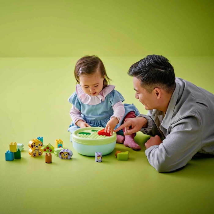 İlk Şekil Ayırıcı: Köpek Evi 10441