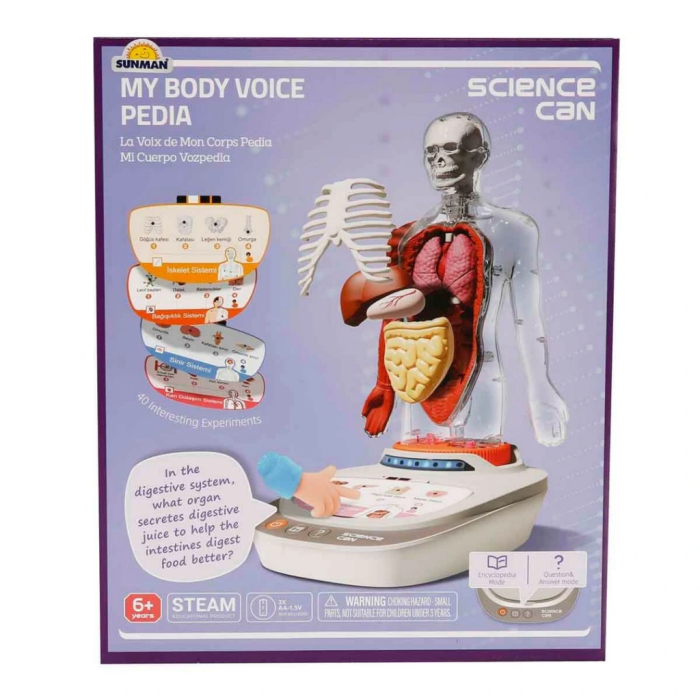 Sesli İnsan Vücudu Modeli Bilim Seti