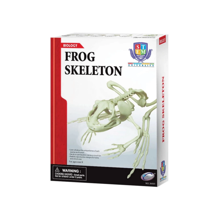 Kurbağa İskeleti Bilim Seti