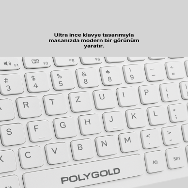 PG-8040 KLAVYE VE MOUSE SETİ