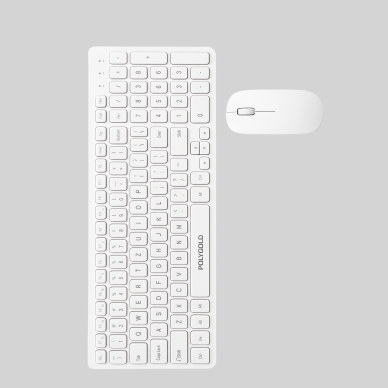 PG-8040 KLAVYE VE MOUSE SETİ