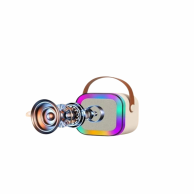 İki Mikrofonlu Renkli LED Işıklı Karaoke Cihazı