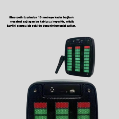 GTS 1793 Işıklı 6.5 İnç Kablosuz Hoparlör Bluetooth USB ve FM Özellikli