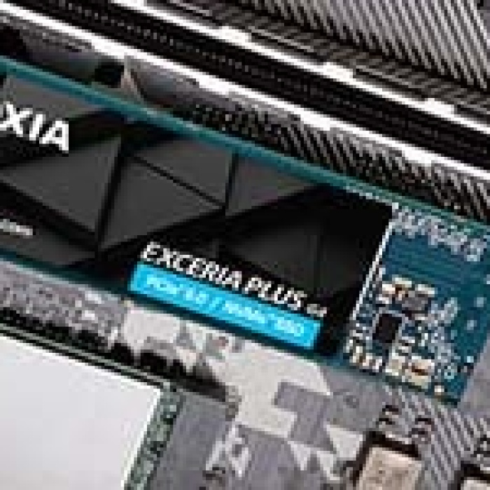 1TB KIOXIA EXCERIA PLUS G4 M.2 NVMe GEN5 10000/7900MB/s LVD10Z001TG8