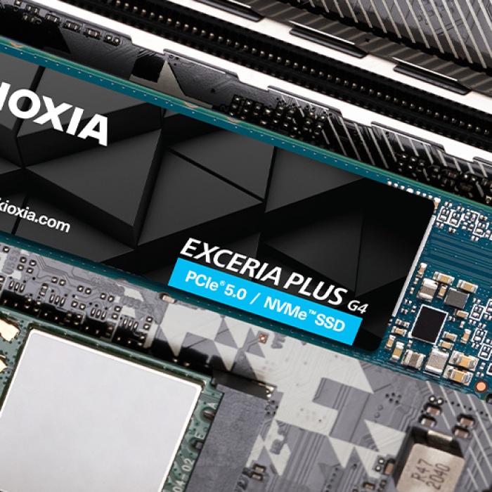 2TB KIOXIA EXCERIA PLUS G4 M.2 NVMe GEN5 10000/8200MB/s LVD10Z002TG8