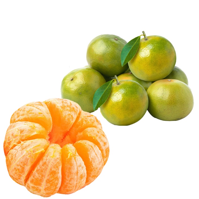Mandalina