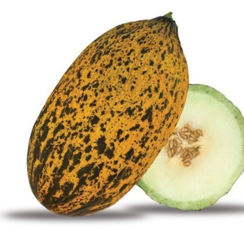 Kırkağaç Kavun